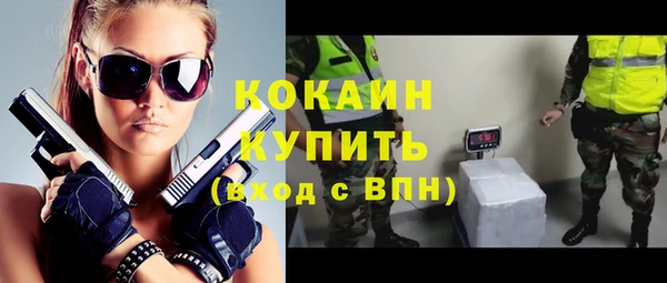 индика Баксан