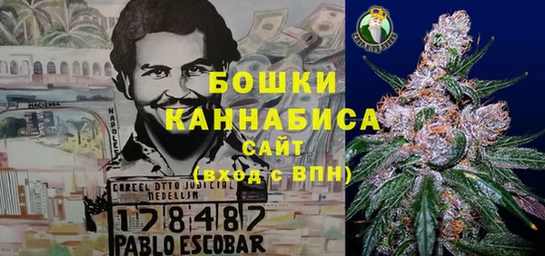 индика Баксан