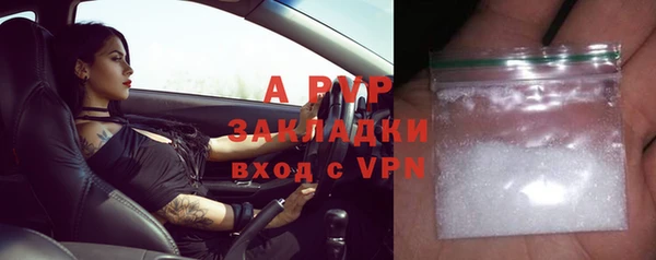 индика Баксан