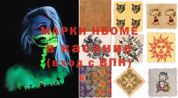 индика Баксан