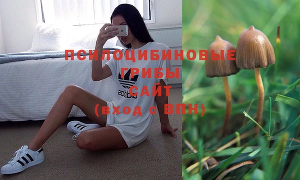 индика Баксан