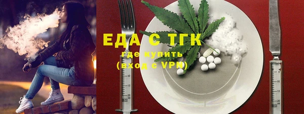 индика Баксан