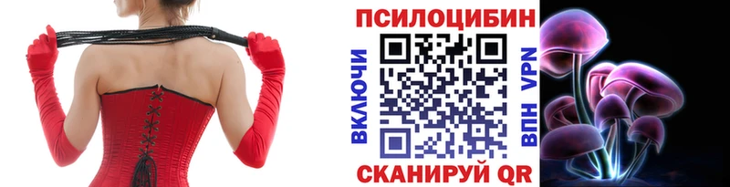 Галлюциногенные грибы Cubensis Балтийск