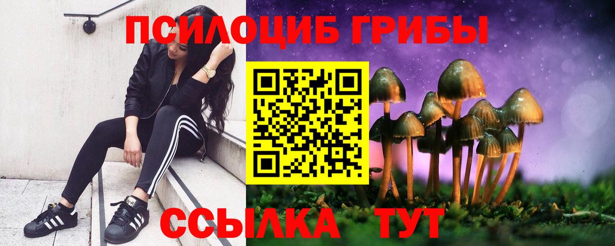 Псилоцибиновые грибы мицелий  Галлюциногенные грибы MAGIC MUSHROOMS  Вход с VPN  Балтийск 